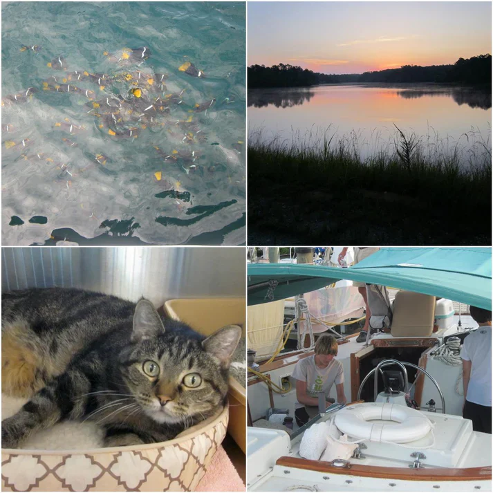 Vintage Digital Camera